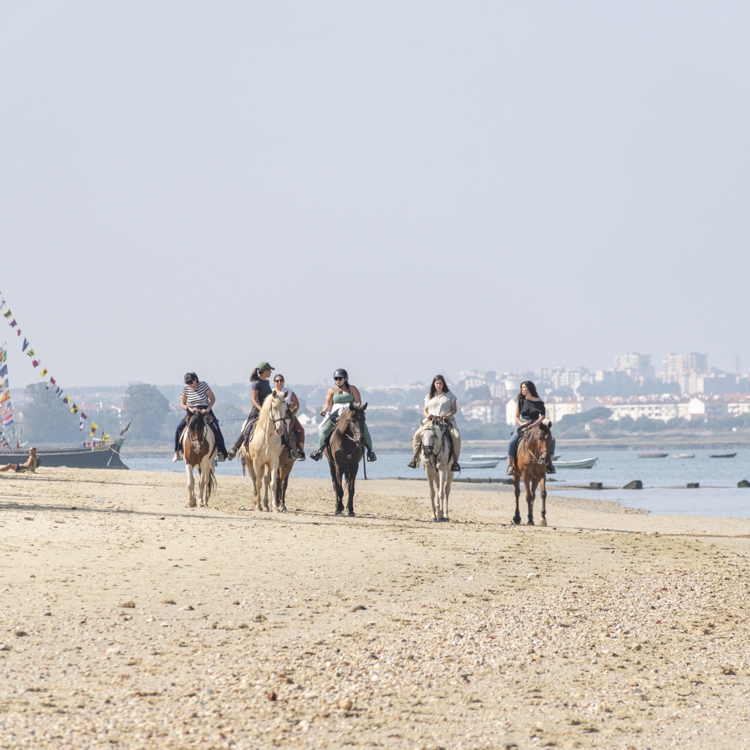 Bono digital • Equitación