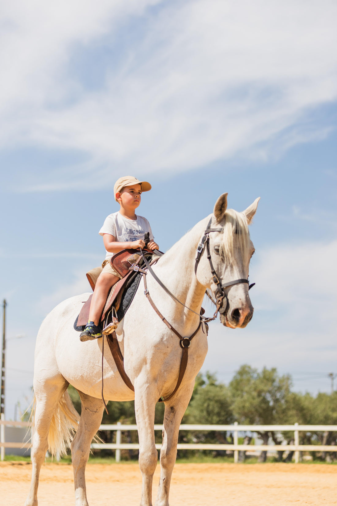 Digital Voucher • Equestrian Baptism