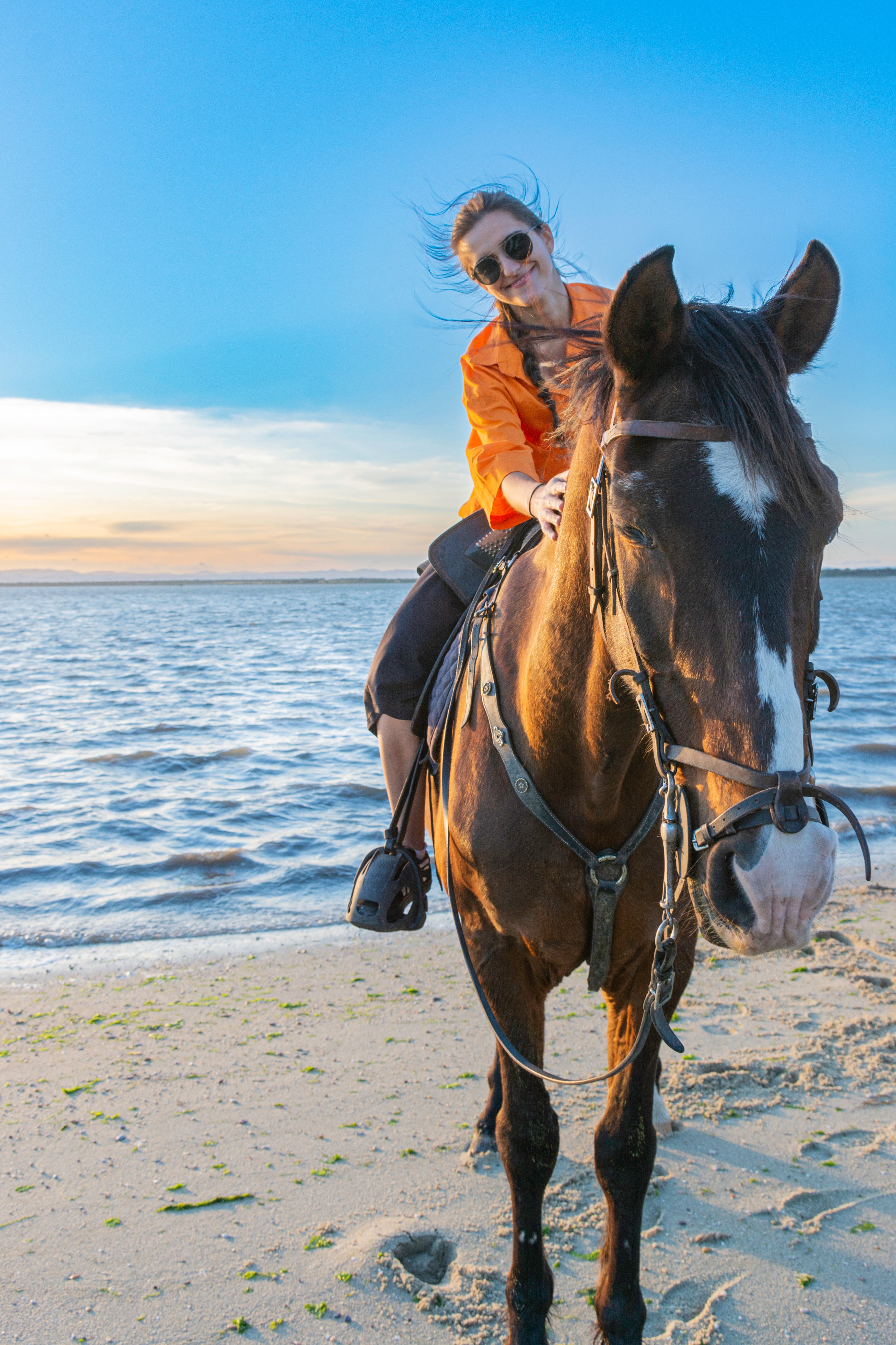 Digital voucher • Private horseback riding