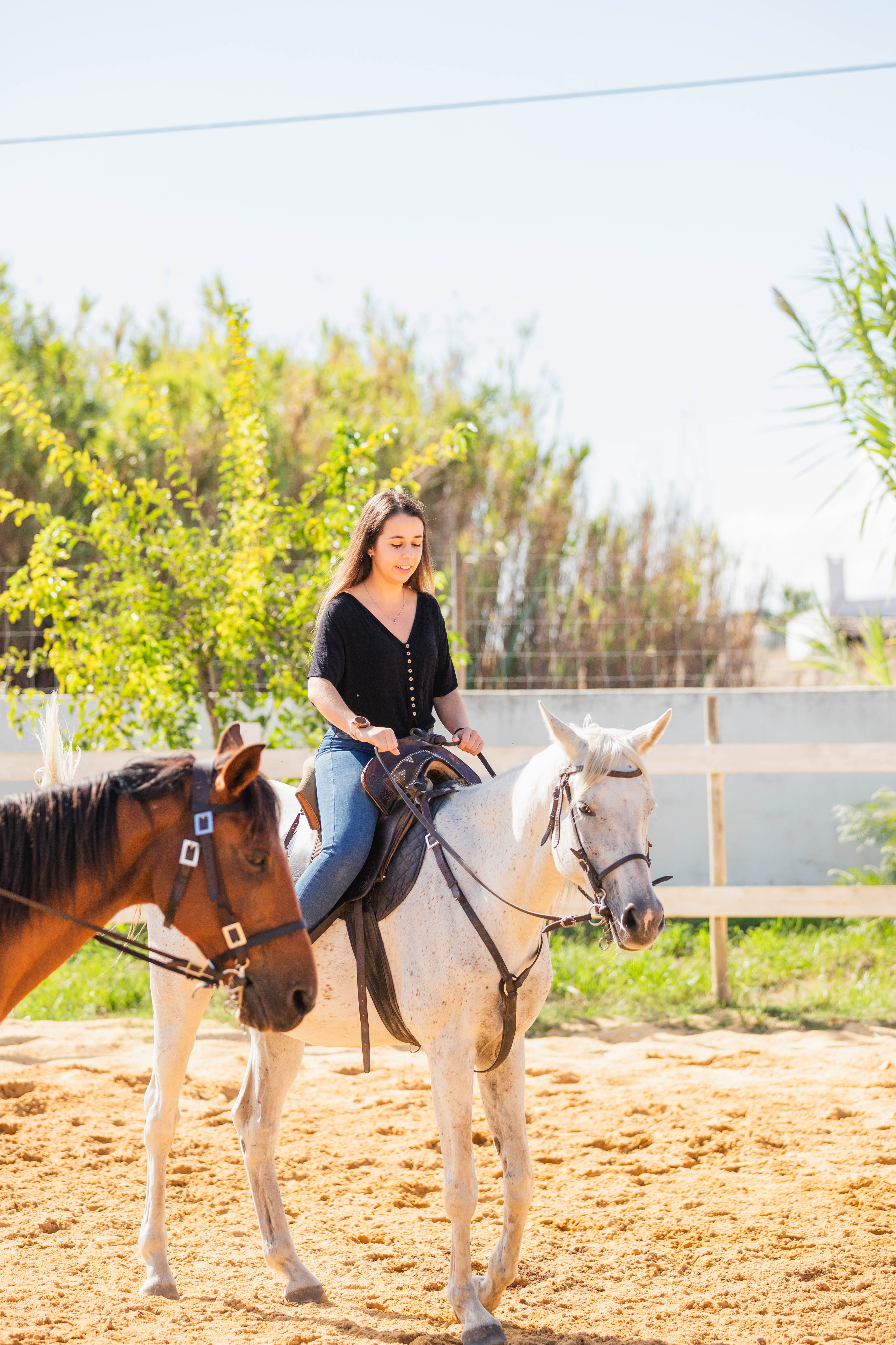 Cashier - Offer • FOR 2 PEOPLE • Tapas and Snacks &amp;amp; Brief Horseback Experience