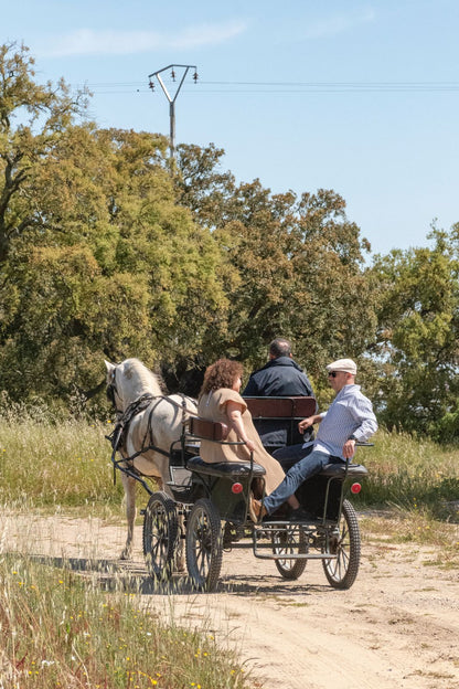 Voucher físico • Passeio a Charrete p/2 pessoas + Tridoce e tostas