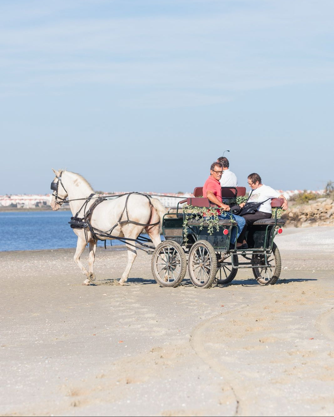 Voucher físico • Passeio a Charrete p/2 pessoas + Tridoce e tostas